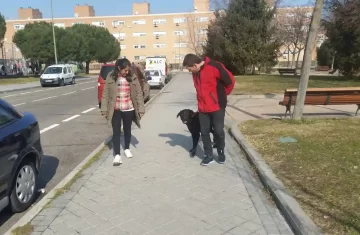 Cachorro en etapa complicada: mordía y parecía imposible de controlar.
