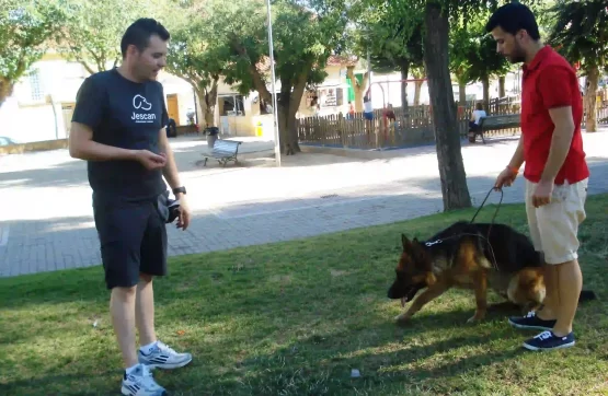 Trabajo de obediencia con pastor alemán en el parque Tutor con su pastor alemán en un parque verde, sujetando al perro con la correa durante una sesión de adiestramiento acompañado por el educador canino.